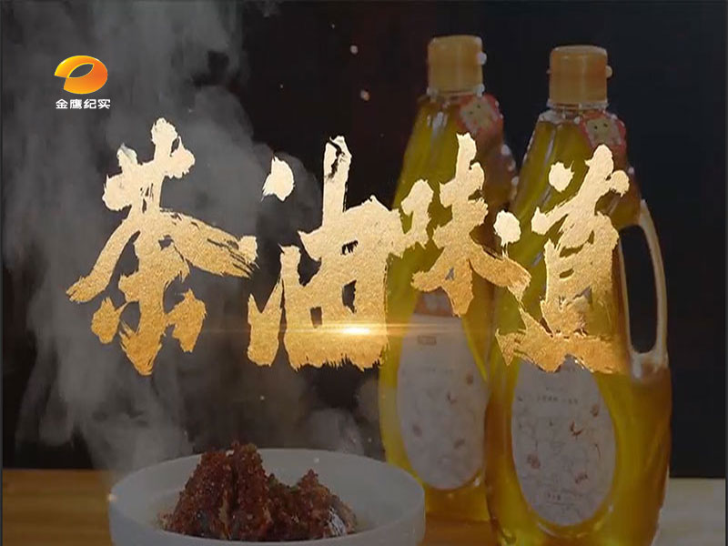 《茶油味道》主题宣传片重磅上线 湖南经视携手攸县茶油共推“少吃油、吃好油”健康理念